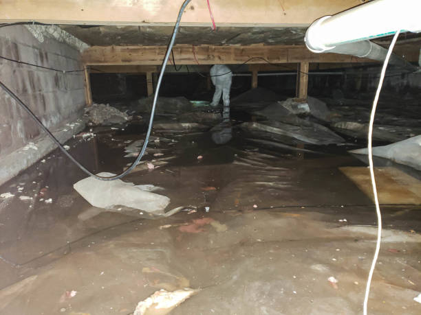 Professional Water damage restoration in Kenyon, MN